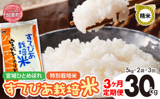 【3回定期便】新米 精米 令和6年度産 すてびあ栽培米 宮城県産 ひとめぼれ 計30kg 10kg(5kg×2)×3回 [菅原精米工業 宮城県 加美町 ]  | sw00002-r6-10kg-3