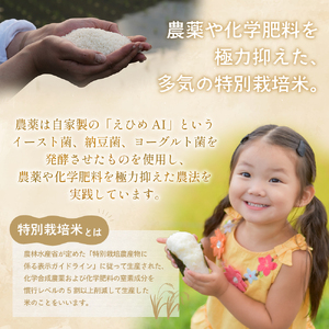 【選べる発送月】【10月発送】令和7年産新米 特別栽培米 循環型農業で作った「にじのきらめき」10kg (5kg×2) 米 コメ こめ 特別栽培 先行 先行予約 精米 白米 人気 おすすめ 5kg 三