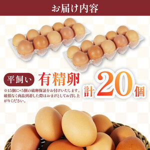 卵 有機卵 15個+割れ保証5個 計20個 平飼い 卵
