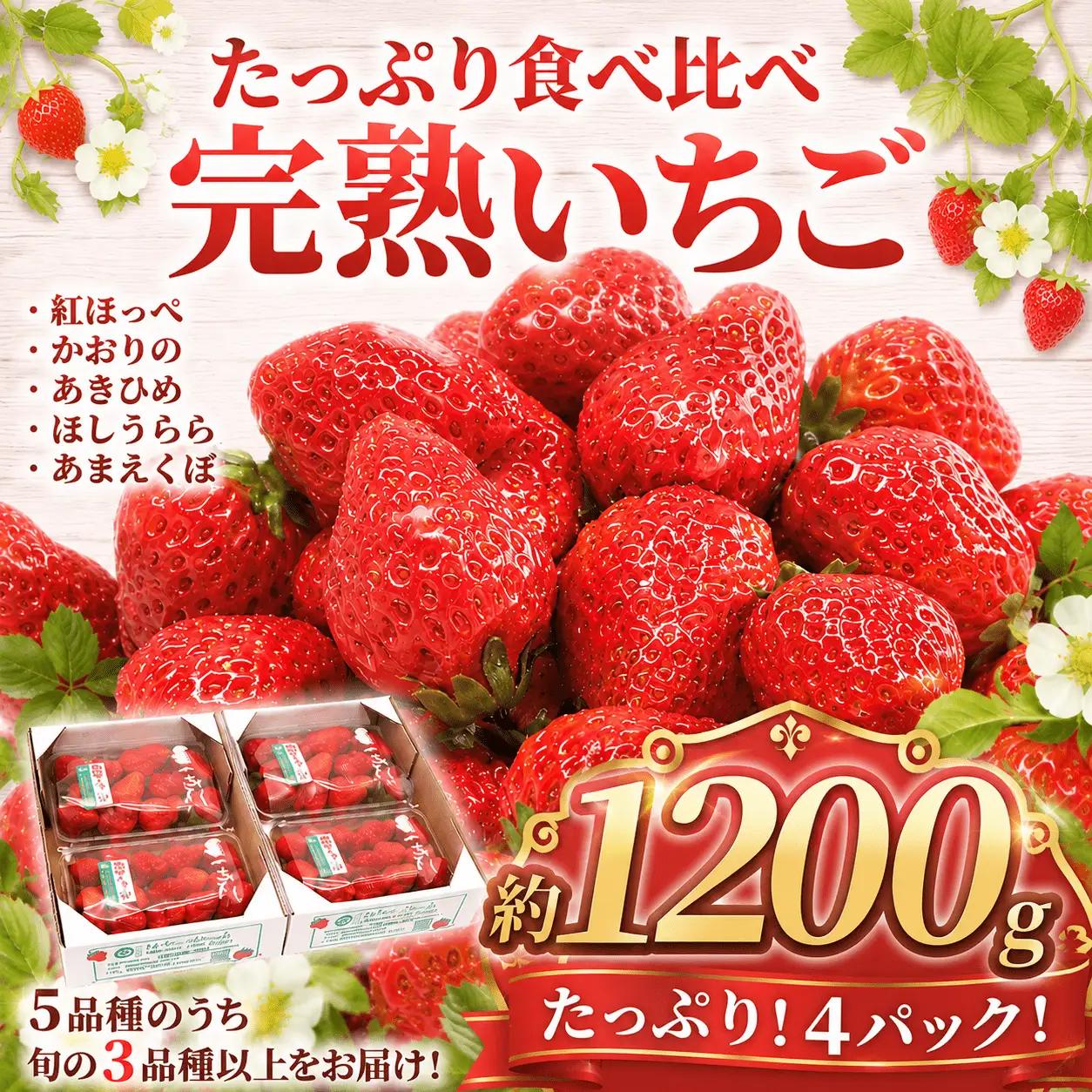 【訳あり】いちご 先行予約 1200g ( 300g × 4P） ｜いちご