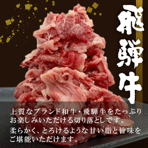 【4月お届け】飛騨牛 切り落とし 600g 牛肉 和牛 肉 切落し ブランド牛 国産 10000円