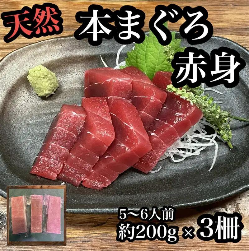 貴重な天然本鮪 赤身 約200g×3柵 約5 ６人前●マグロの中心部天身を使用！【赤身 天身 惣菜 海鮮 お取り寄せ 御中元 お中元 お歳暮 父の日 母の日 贈り物 日本酒 焼酎  マグロ マグロ】【神奈川県小田原市早川】