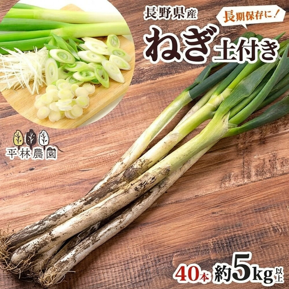 【ふるさと納税】ねぎ 土付き40本 5kg以上 ｜長ねぎ ネギ 葱 野菜 国産 新鮮 常備 保存 土付き 鍋 味噌汁 すき焼き 薬味 料理 お裾分け 贈り物 長野県産 送料無料 産地直送 平林農園 長野県 大町市 | 野菜 やさい 食品 人気 おすすめ 送料無料
