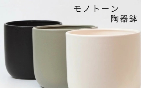 【グレー】ガジュマル モノトーン130 陶器鉢 1鉢 水位計セット