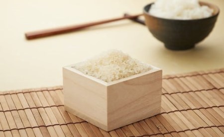 【先行予約・令和7年産新米】真空パック 特別栽培米 コシヒカリ 無洗米 6kg（3kg×2袋） 山波農場のお米 新潟県産 [Y0061]