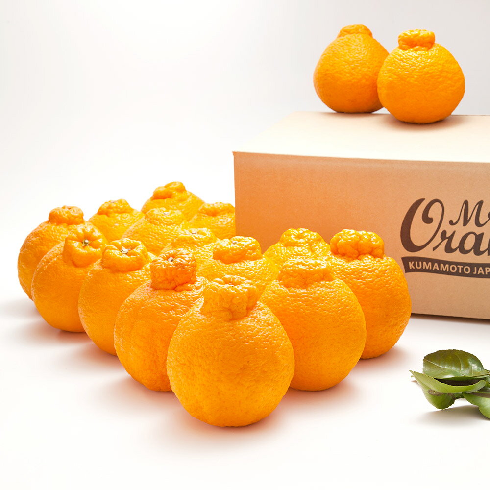 【ふるさと納税】環境マイスターの不知火 良品 約5kg 15玉前後 （栽培期間中は無肥料・低農薬） 不知火 蜜柑 みかん ミカン 果物 国産 九州産 熊本県産 冷蔵 送料無料【2026年1月上旬-4月下旬迄順次発送予定】