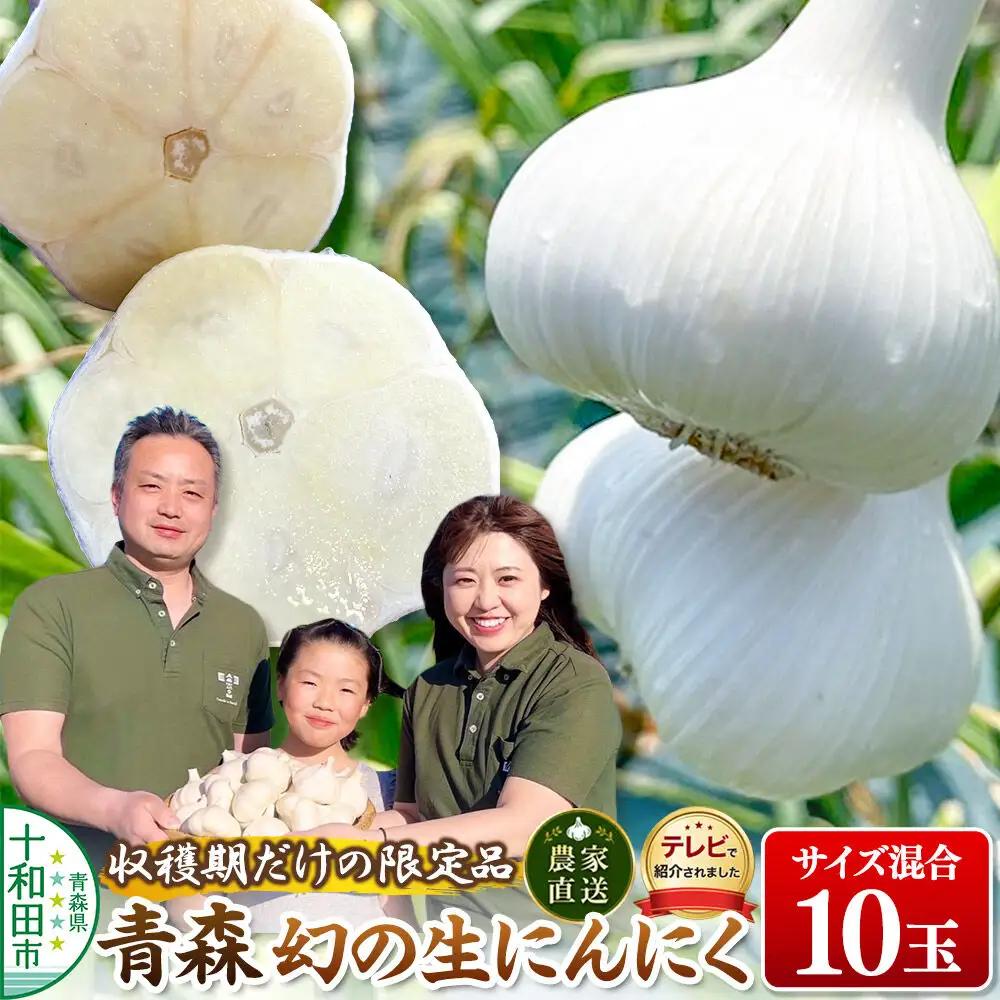 【2027年収穫分】先行受付【テレビ紹介】青森 幻の生にんにく10玉（農家直送・収穫期だけの限定品） 青森にんにくファーム