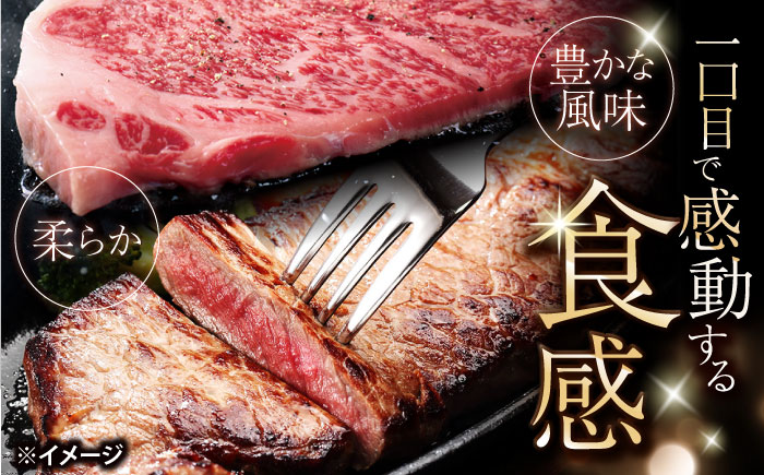 【訳あり】長崎和牛 サーロイン ステーキ 約500g（2枚） 【大西海ファーム食肉加工センター】 [CEK178]