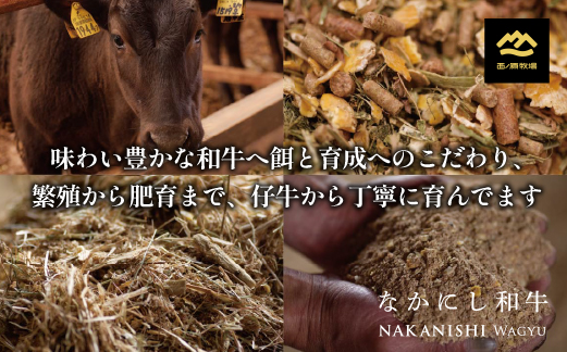 【生産者まかない用特別提供品】宮崎和牛不揃いカットステーキ 500g（国産 牛肉 国産牛 和牛 黒毛和牛 赤身 不揃い ステーキ 焼肉）