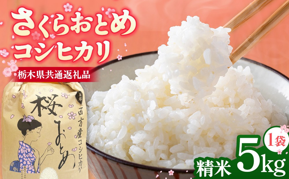 
                  さくらおとめ コシヒカリ（5kg×1袋） 【栃木県共通返礼品】 | 米 お米 おこめ 精米 5キロ こしひかり ご飯 ごはん 栃木県 鹿沼市
                