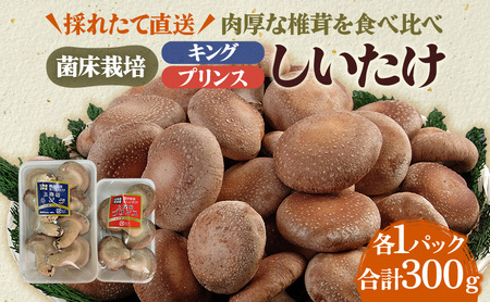 厚岸産 しいたけ キング・プリンス 各1パック しいたけ