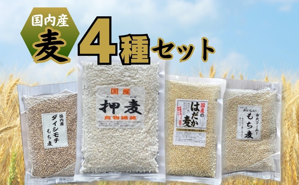 
            国内産 麦4種セット(押麦500ｇ、はだか麦330ｇ、ダイシもち麦250ｇ、もち麦300ｇ　各1個)｜もち麦ごはん 雑穀ごはん 麦ごはん むぎ  長野県 千曲市  信州
          