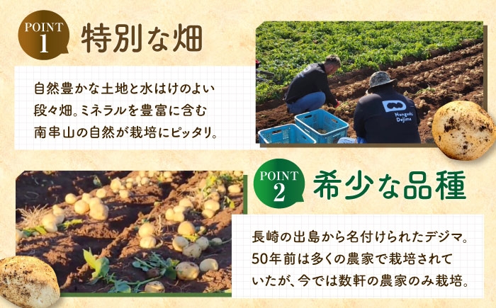 デジマ じゃがいも ジャガイモ 春作 新じゃが 5kg 長崎 国産 野菜 旬 家庭用 長崎 雲仙 南串山