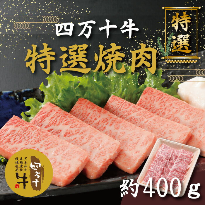 【ふるさと納税】26-001．幻のメス牛 四万十牛特選焼肉（約400g） 国産 高知 しまんと 四万十 四万十牛 メス牛 お取り寄せ 牧場直売 肉 牛肉 黒毛和牛 ご褒美 焼肉 リブロース 肩ロース バーベキュー BBQ