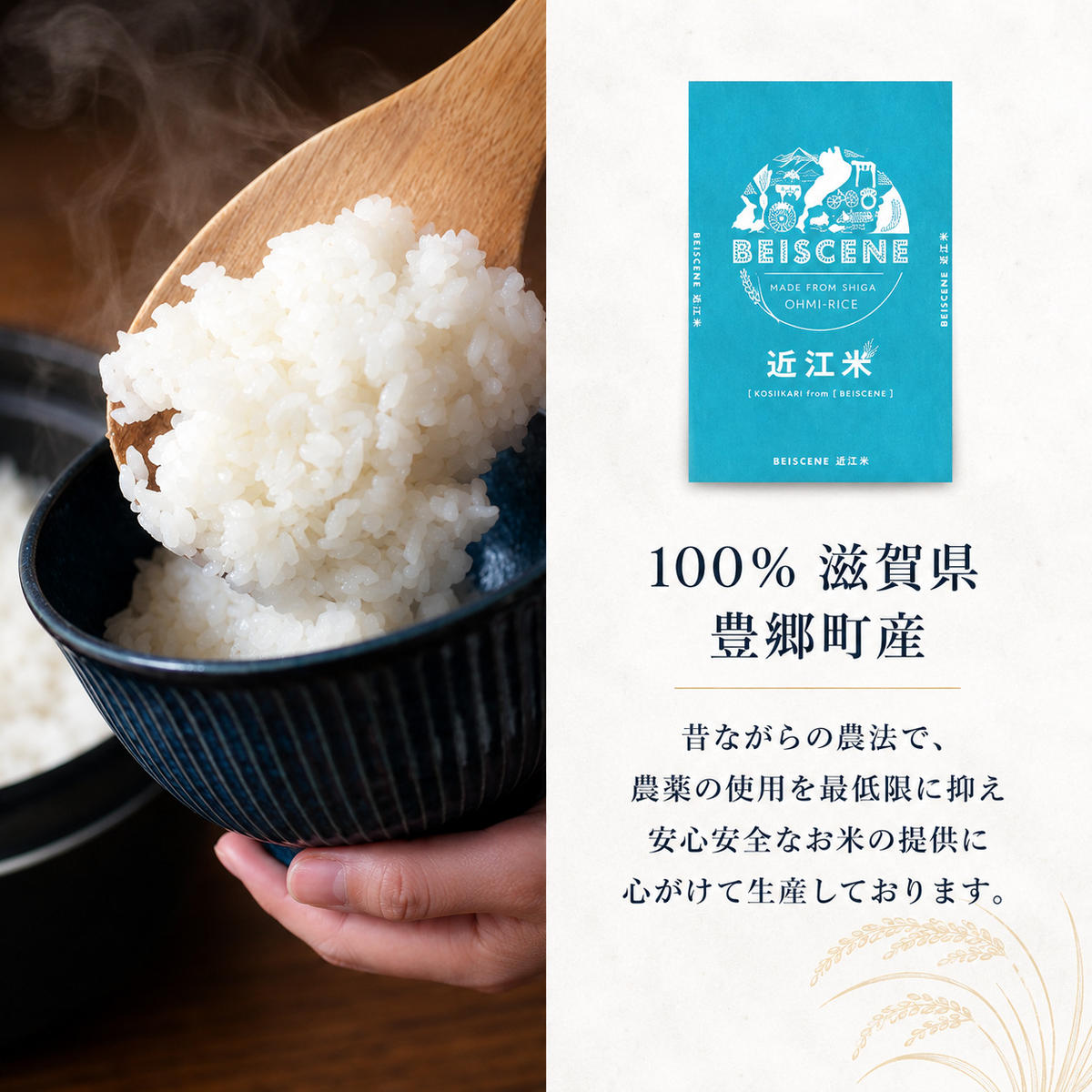 【令和7年産】 米 定期便 ミルキークイーン 近江米 白米 10kg