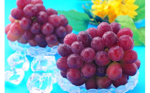 岡山県産 マスカットビオレ 1.0kg以上 ＜10月中旬から11月中旬発送＞ _A13