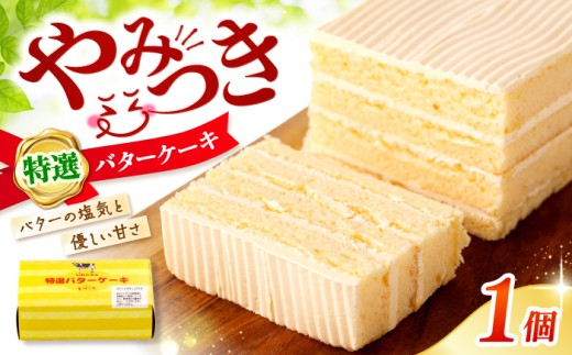 ケーキ 【日時指定可】 バターケーキ 1個 ケーキ cake ＜お菓子のいわした＞ [CAM048] 長崎 西海 ケーキ スイーツ おやつ 贈答 kake プレゼント ギフト cake 記念日 お中元 お歳暮 お取り寄せケーキ 贈答ケーキ けーき スイーツ お菓子 バタークリーム cake お土産 通販ケーキ おしゃれケーキ 9000円 1万円