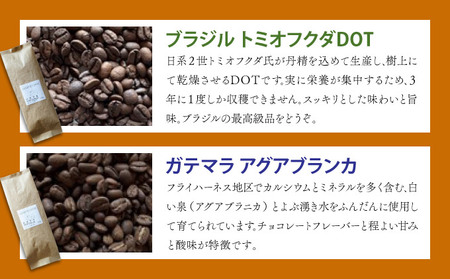 自家焙煎 コーヒー豆 ガテマラ アグアブランカ 100g×3個セット 300g