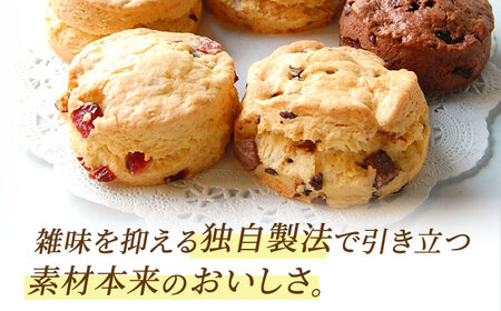 【12回定期便】リッチハニースコーン アソート 10個 多治見市/famfam スイーツ 洋菓子 焼菓子 スコーン デザート [TAK013]