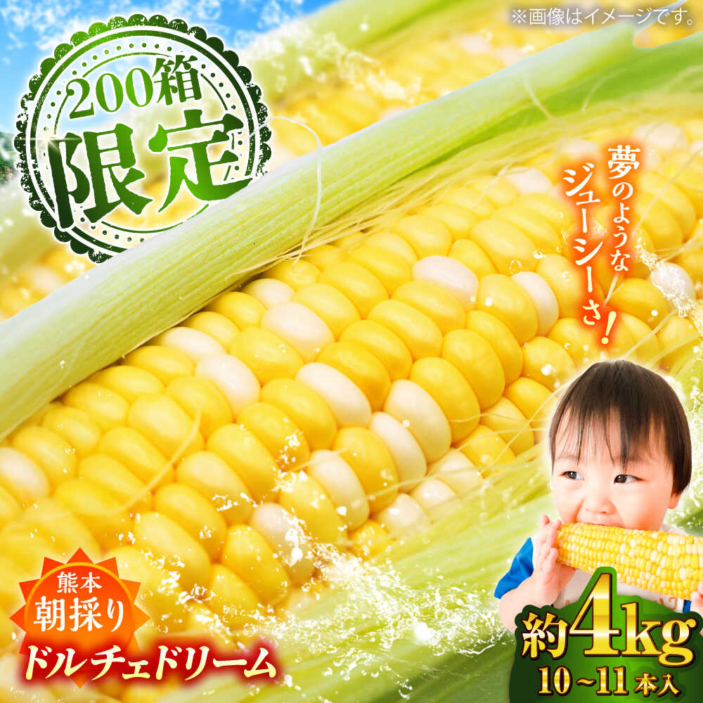 【ふるさと納税】【5月下旬から順次発送】【限定数量】スイートコーン(ドルチェドリーム)約4kg / 高糖度 どるちぇどりーむ 糖度 コーンスープ 産地直送 甘さ コーン おやつ BBQ バター焼き 野菜 とうもろこし 糖度 菊陽町【なかむら農園】[BHCJ002]