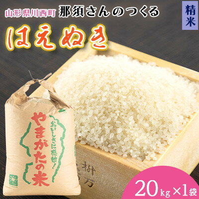 【ふるさと納税】【令和7年産 】山形県産【はえぬき】精米20kg(20kg×1袋)【1672663】