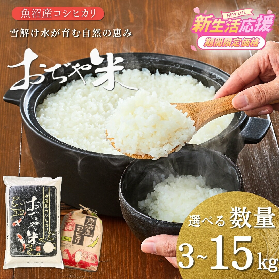 【ふるさと納税】 新潟県 コシヒカリ 特Aランク 米 令和7年産 魚沼産コシヒカリ 選べる容量 3kg 5kg 10kg 15kg 新潟産コシヒカリ おぢや米 お米 こしひかり 白米 精米 ブランド米 鮮度抜群 JA魚沼 新潟 小千谷