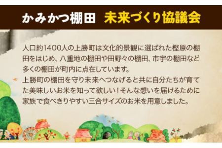 かみかつ棚田未来づくり協議会 米 かみかつの棚田米 松下さんちのお米 玄米 コシヒカリ レターパック配送 3合《30日以内に出荷予定(土日祝除く)》 徳島県 上勝町 ふるさと納税 送料無料 st-p