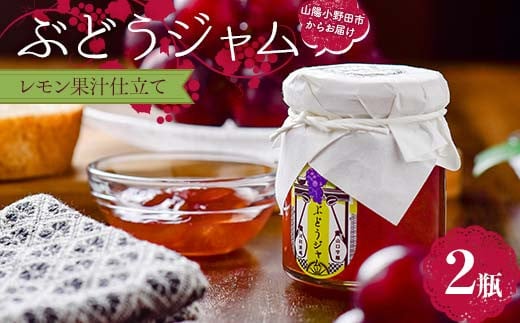 
            ぶどうジャム２瓶（レモン果汁仕立て２瓶）100ｇ×2 ぶどう ジャム 加工品 食品 F6L-1145
          