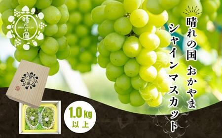 【先行予約 秋季 2026年9月上旬発送～】シャインマスカット1.0kg（2～3房）【021-a019】
