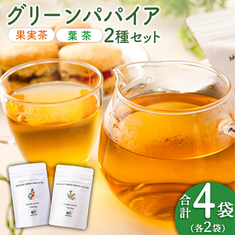 【ふるさと納税】グリーンパパイアティー 2種 セット (果実茶＆葉茶) ティーバッグ 計4袋 宮崎県産