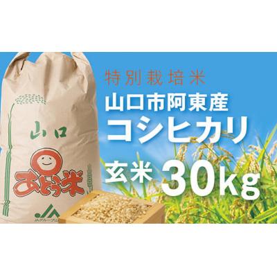 ふるさと納税 山口市 特別栽培米阿東産コシヒカリ玄米30kg B094