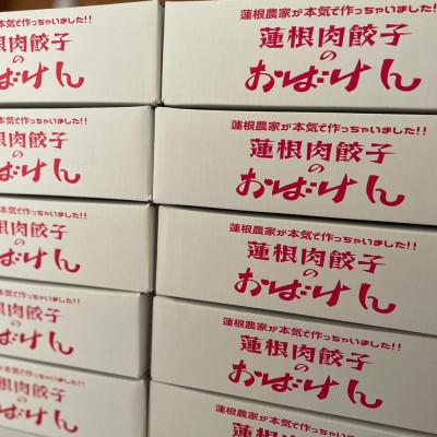 ふるさと納税 鹿嶋市 蓮根肉餃子のおばけん【70粒】 |  | 01