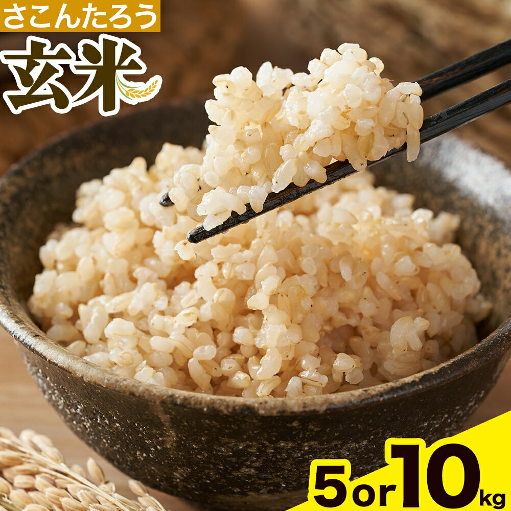 【ふるさと納税】玄米 5kg 10kg さこんたろう《90日以内に発送予定(土日祝除く)》熊本県 御船町 コメ おこめ ごはん 熊本県産