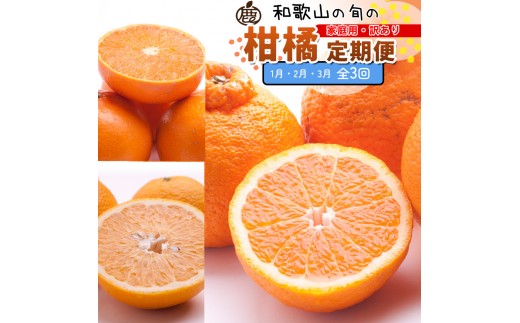 
                  家庭用 柑橘定期便M（1～3月）全3回 ［IKE310］
                
