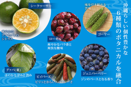 オキナワ ジン 700ml 1本 まさひろ酒造 クラフトジン 沖縄