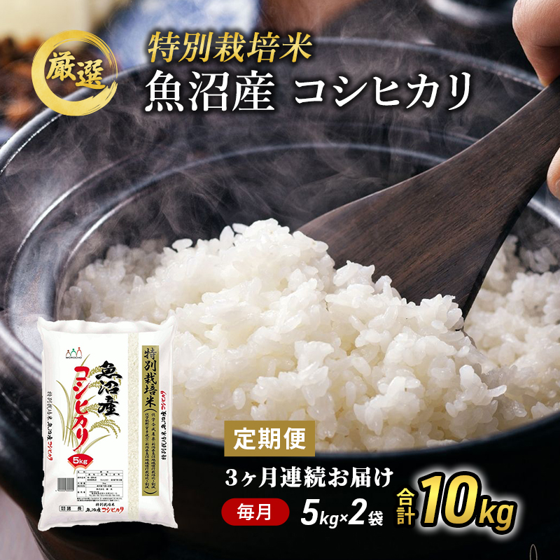【特別栽培米】お米アドバイザー厳選 魚沼産コシヒカリ（精米）10kg（5kg×2）3ヶ月連続