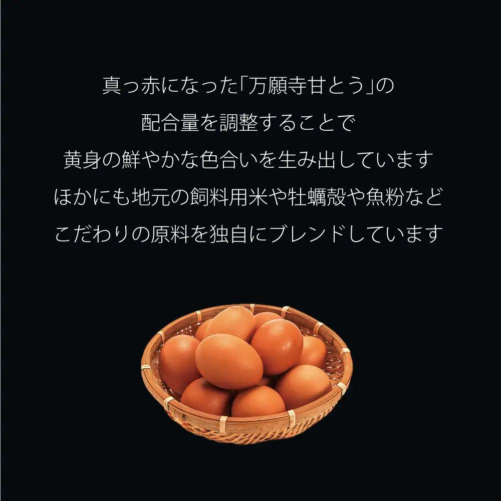 ガトーショコラ 缶詰 6缶セット スイーツ 缶詰