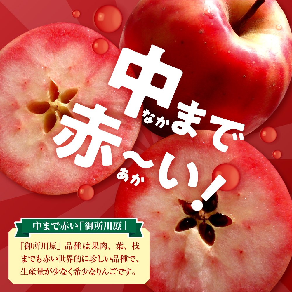 中まで赤～いりんごづくしセット 【りんごジャム100g×1、万能タレ200ml×1、りんごジュース（パウチ）130ml×3、こぎん刺しマグネット×1【青森県五所川原市 りんご 詰合せ 御所川原】