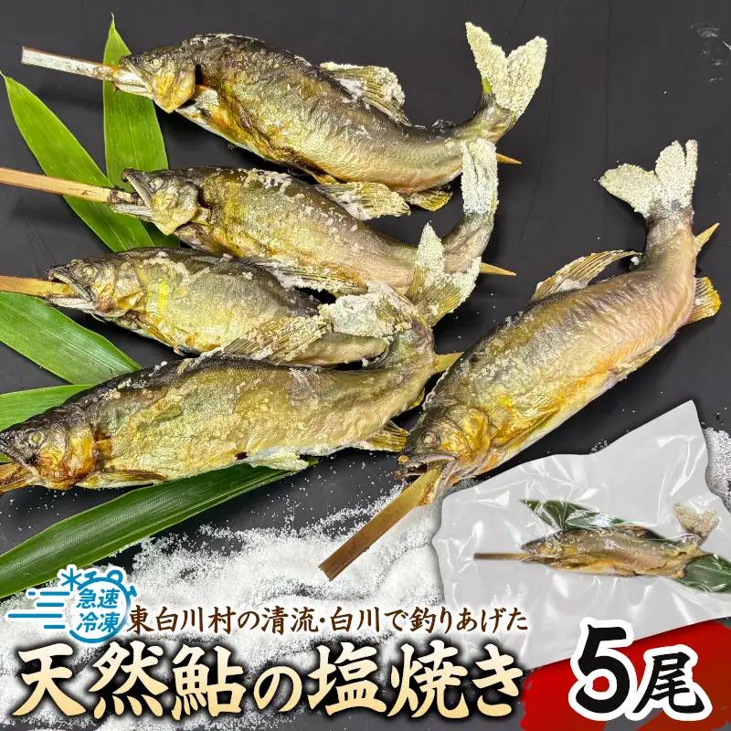 清流白川 天然鮎塩焼き 5尾 冷凍 鮎 あゆ アユ 川魚 焼き魚 炭火焼 塩焼き 清流 魚介 和食 おかず おつまみ グルメ 食品 川釣り 冷凍 急速冷凍 真空パック レンチン 簡単 お手軽 岐阜県産