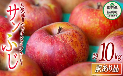 【 訳あり品 】 りんご サンふじ 訳あり 10kg 2026年12月上旬頃から2027年2月下旬頃まで順次発送予定 ふるさと振興公社 リンゴ 林檎 長野県 飯綱町 [0289]