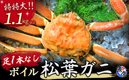 訳あり足１本なしボイル松葉ガニ（特特大１，１００ｇ以上）訳あり かに カニ 蟹 訳ありボイル 新鮮 かに カニ 蟹 松葉ガニ 松葉がに かに カニ 蟹 ボイル訳あり かに 松葉がに ズワイガニ カニ爪 冷蔵 【魚倉】