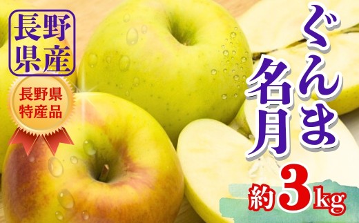 【2026年先行予約】ぐんま名月 約3kg | 林檎 リンゴ アップル 果物 くだもの フルーツ ぐんまめいげつ 群馬名月 3キロ お取り寄せ 産地直送 長野県産 信州林檎 信州りんご 信州 長野 千曲市