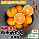 【ふるさと納税】 有田みかん 5kg 10kg 11000円 16000円 海藻施用 手選果 ※11月下旬〜1月中旬頃に順次発送予定 / 温州みかん みかん 柑橘 くだもの 果物 果実 フルーツ 和歌山 有田 //mandarin