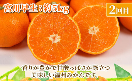 旬の 温州みかん 5kg × 3回 定期便 矢野青果 準贈答用 極早生 宮川早生 南柑20号 みかん mikan 愛媛みかん 愛媛ミカン 愛媛蜜柑 果物 くだもの フルーツ 濃厚 甘い 甘味 さっぱり