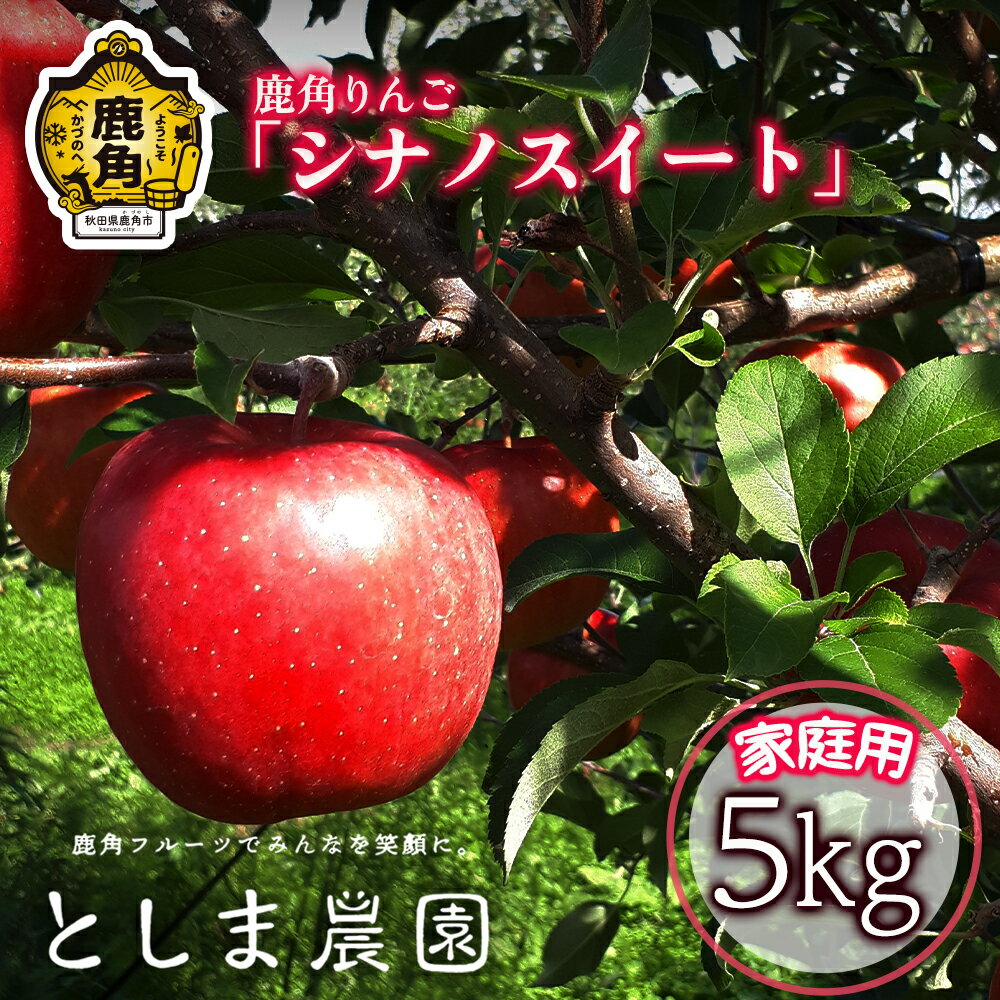 【ふるさと納税】《 先行予約 》 訳あり 鹿角 りんご シナノスイート 家庭用 約 5kg ( 12～20玉 ) リンゴ 完熟 旬 県産りんご お中元 お歳暮 贈り物 お見舞い グルメ ギフト 故郷 秋田 あきた 鹿角市 鹿角 送料無料 【としま農園】