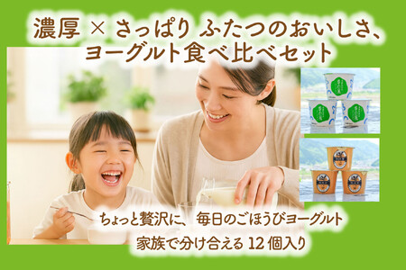 【定期6か月便】牧成舎のヨーグルトたっぷり12個セット（加糖2種×各６） ヨーグルト DF217