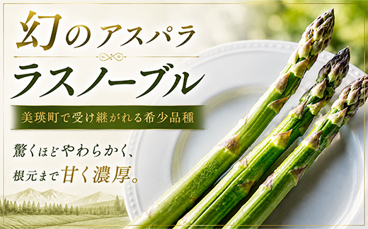 【令和9年産先行予約】野菜の定期便（大） 3回便 野菜 定期便 幻のアスパラ ラスノーブル とうもろこし 玉ねぎ 北海道 本山農場