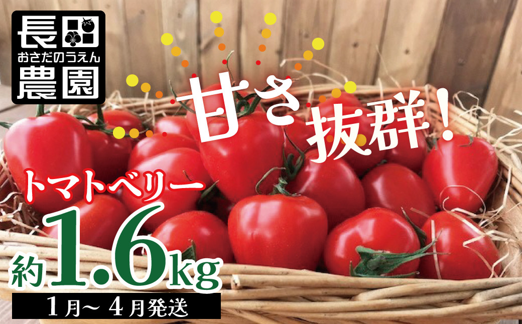 
甘さ抜群!トマト嫌いでも食べられるトマトベリー 約1.6kg 野菜ソムリエサミット 金賞 受賞 長田農園 産地直送 トマト とまと 野菜 やさい フルーツ サラダ 濃厚 甘い ご褒美 プレゼント 美容 健康 リピート多数 人気 高評価 先行受付 数量限定 碧南市 H004-116
