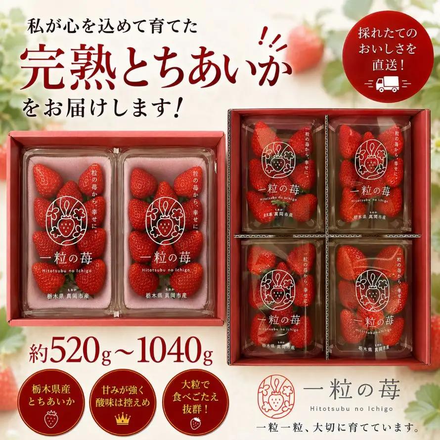 【先行予約】完熟いちご とちあいか 1040g