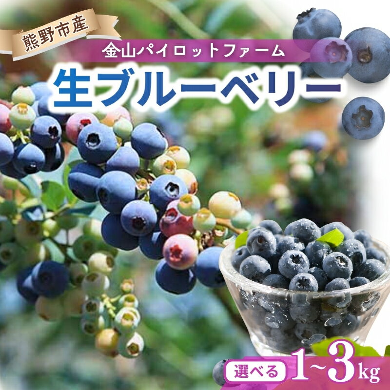 【ふるさと納税】 【選べる容量】 生果ブルーベリー 1kg 2kg 3kg 大粒 フルーツ 果物 くだもの スムージー ジャム 朝食 デザート 特産品 人気 国産 旬 金山パイロットファーム 三重県 熊野市 送料無料 【2026年7月頃～8月上旬で順次発送】